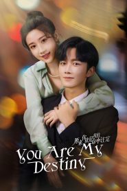 You Are My Destiny (2024)